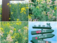 -中国天府农业博览园