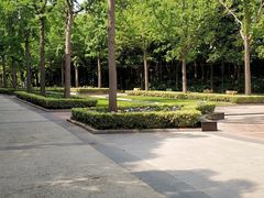 -苏州河梦清园环保主题公园