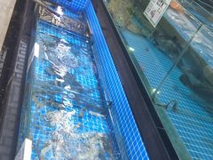 水产区-丽都山庄餐厅