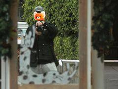 -溪岸路花鸟市场