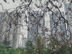 -红星桥(地铁站)