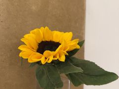 -四季餐厅·新津菜(环湖中路店)