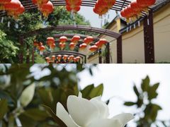 -无锡梅园公园