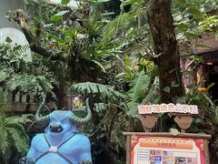 -正佳雨林生态植物园