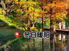 -云溪植物园