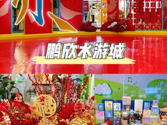 -鹏欣水游城