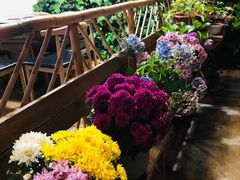 -云朵小院·石锅鱼·野生菌餐厅(蒗放店)