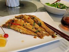 干煎沙尖鱼-金满楼(天河中路店)