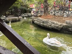 -灵玲国际马戏城