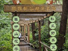 -大岭沟猕猴桃谷风景区