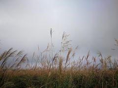 -山王坪喀斯特国家生态公园