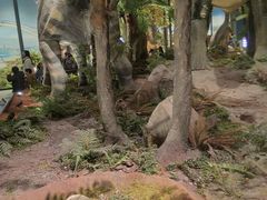 -湖南省地质博物馆