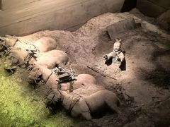 -秦始皇帝陵博物院-丽山园