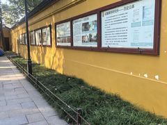 -西园寺素食(西园弄戒幢律寺店)