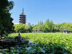 -荣记生煎(湖州市第十二中学店)