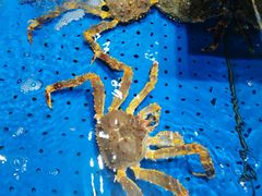 -炊江南·上海菜(国展华漕店)