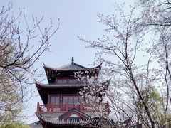 -堤角公园