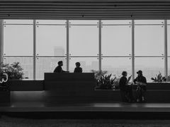 -Seesaw Coffee(朝阳大悦城店)