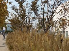 -栖露营camping·天幕烧烤·团建拓展·采摘营地