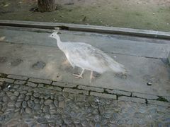 -森林公园(尖草坪区)