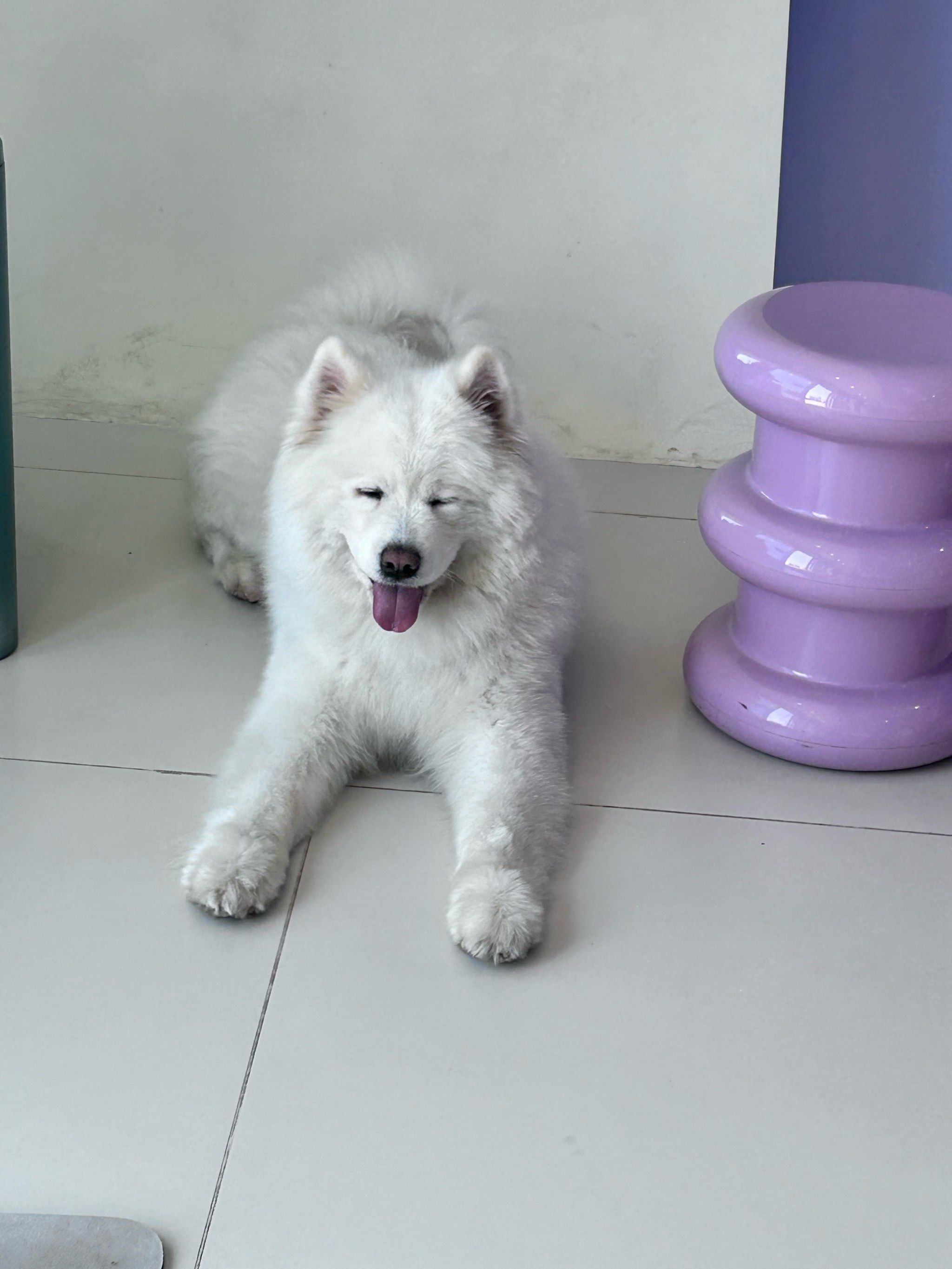 天天领红包#这样萌萌的小毛孩可爱的不像话了