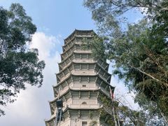 -深圳国际园林花卉博览园