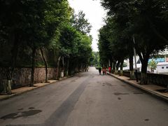 -西南政法大学(沙坪坝校区)