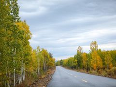 -莫尔道嘎国家森林公园