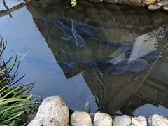 -万景饭店·鱼街农家菜