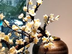 -梅花境(万科店)