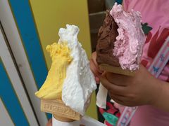 -柠檬车露(卖草地店)