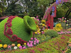 -杭州植物园