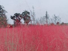 -汉长安城未央宫国家考古遗址公园