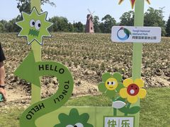 -同里国家湿地公园
