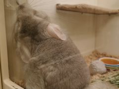 -龙猫仔乐园(惠福东路店)