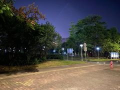 -大亚湾红树林城市湿地公园