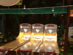 -森活木趣wooderfullife(益田假日广场店)