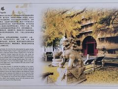 -北京石刻艺术博物馆(五塔寺)