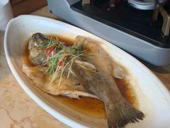 -丁里羊肉小镇(太宁路口店)