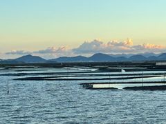 -西门岛码头海鲜馆