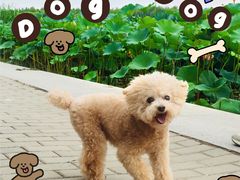 -素心小筑(后沙裕镇店)