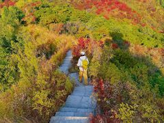 -大岭沟猕猴桃谷风景区
