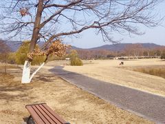 -钟山体育运动公园