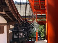 -奈良公园