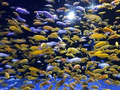 -成都浩海立方海洋公园