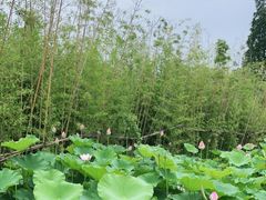 -百翠山居.家飨餐厅