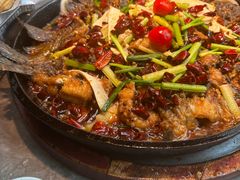 -老板恋上鱼(恒隆广场店)