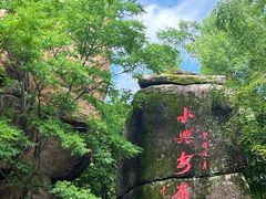 -汤旺河林海奇石景区