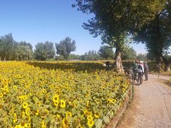 -长白岛森林公园