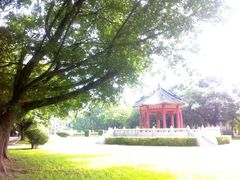 android_upload_pic-中山大学学者灵芝(园南路店)